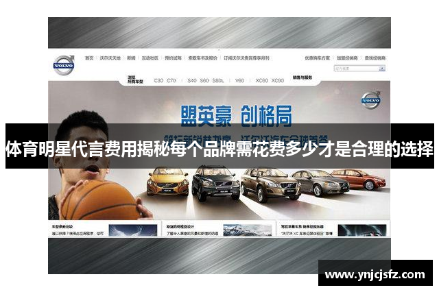 体育明星代言费用揭秘每个品牌需花费多少才是合理的选择