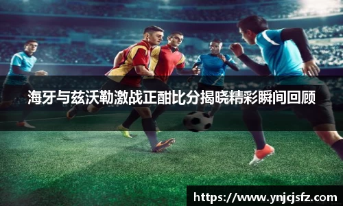 海牙与兹沃勒激战正酣比分揭晓精彩瞬间回顾